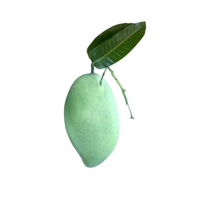 Cat Hoa Loc Mango