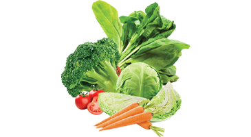 VEGETABLES